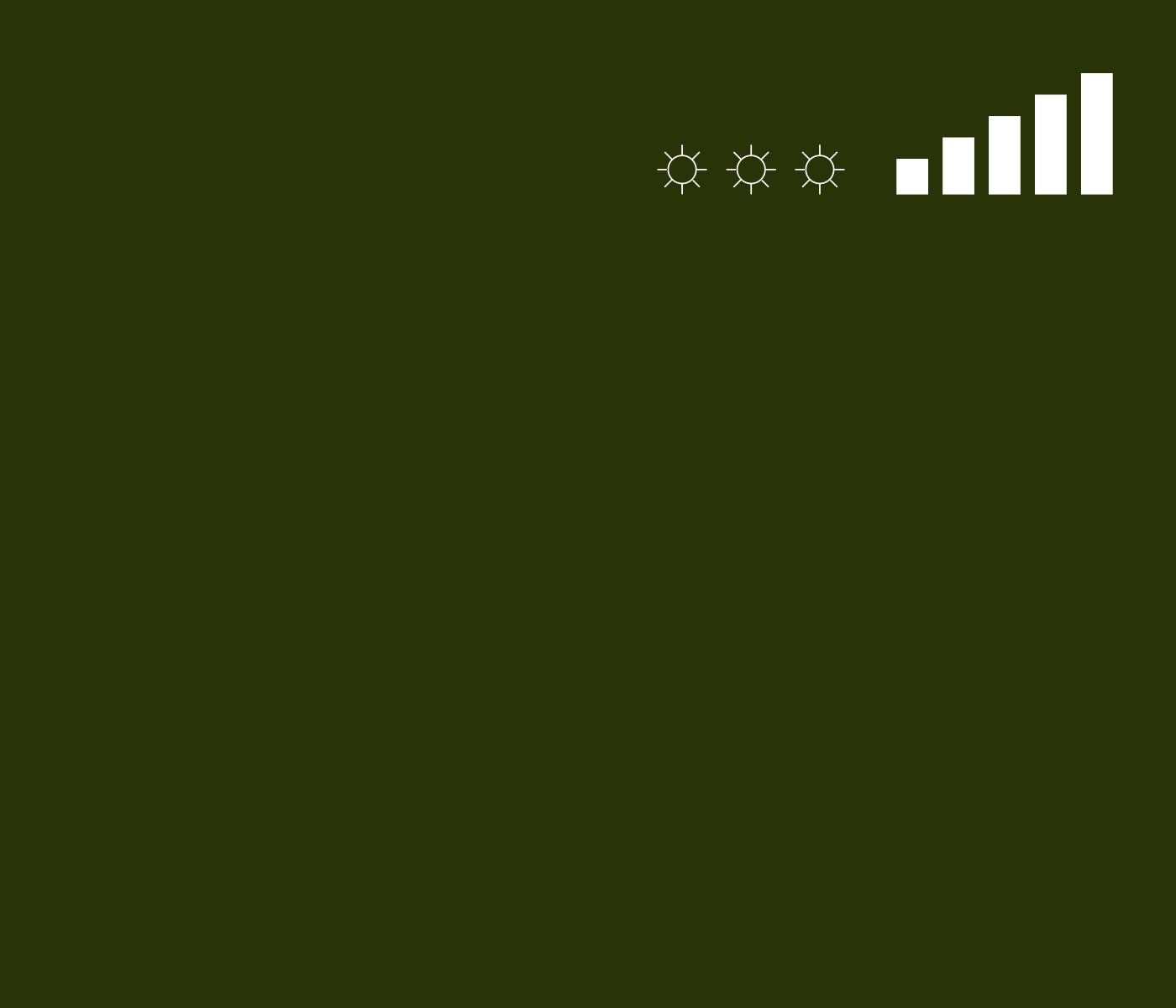 MTN 94 Spray Paint - RV132 - Borneo Green