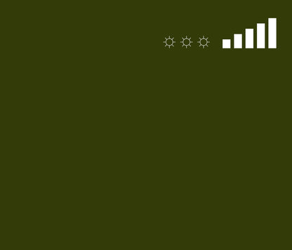 MTN 94 Spray Paint - RV131 - Comarca Green