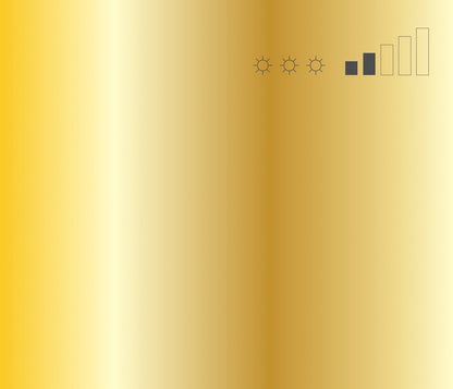 MTN 94 Spray Paint - Frame Gold
