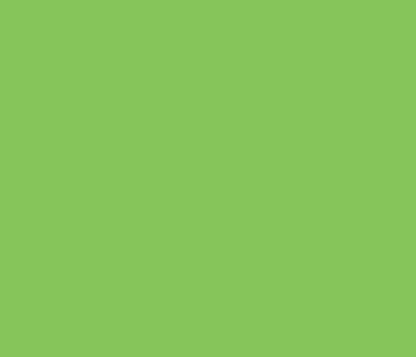 MTN Water Based Paint Refill - 200ml - RV34 Brilliant Light Green