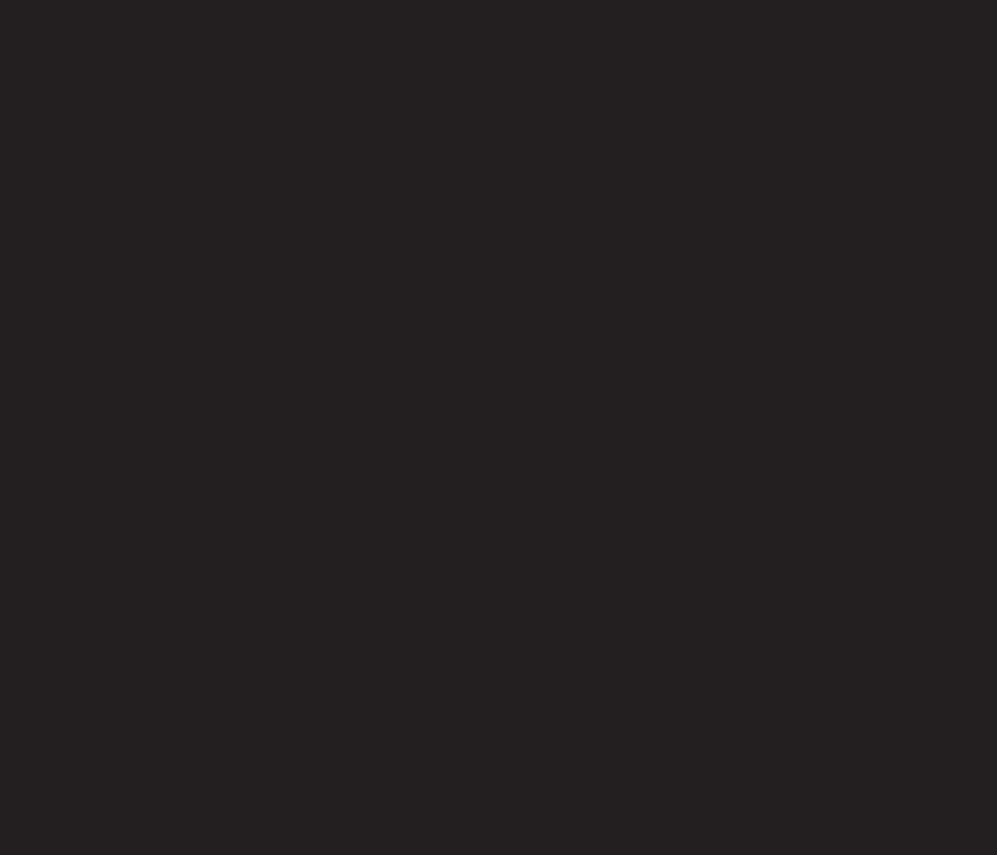 MTN Water Based Paint Refill - 200ml - RV9011 Carbon Black