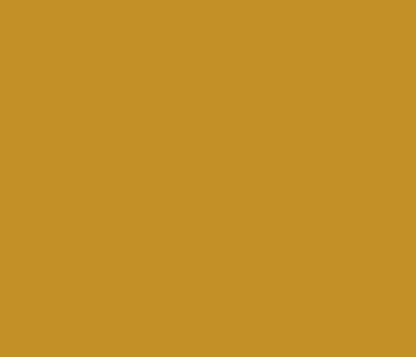 MTN Water Based Paint Refill - 200ml - RV265 Raw Sienna
